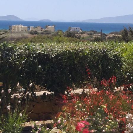 Apartmán Haus Asterakia Aliko Beach Exteriér fotografie