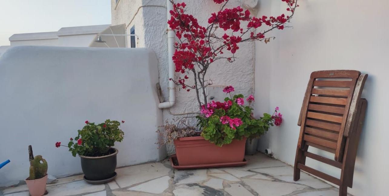 Apartmán Haus Asterakia Aliko Beach Exteriér fotografie