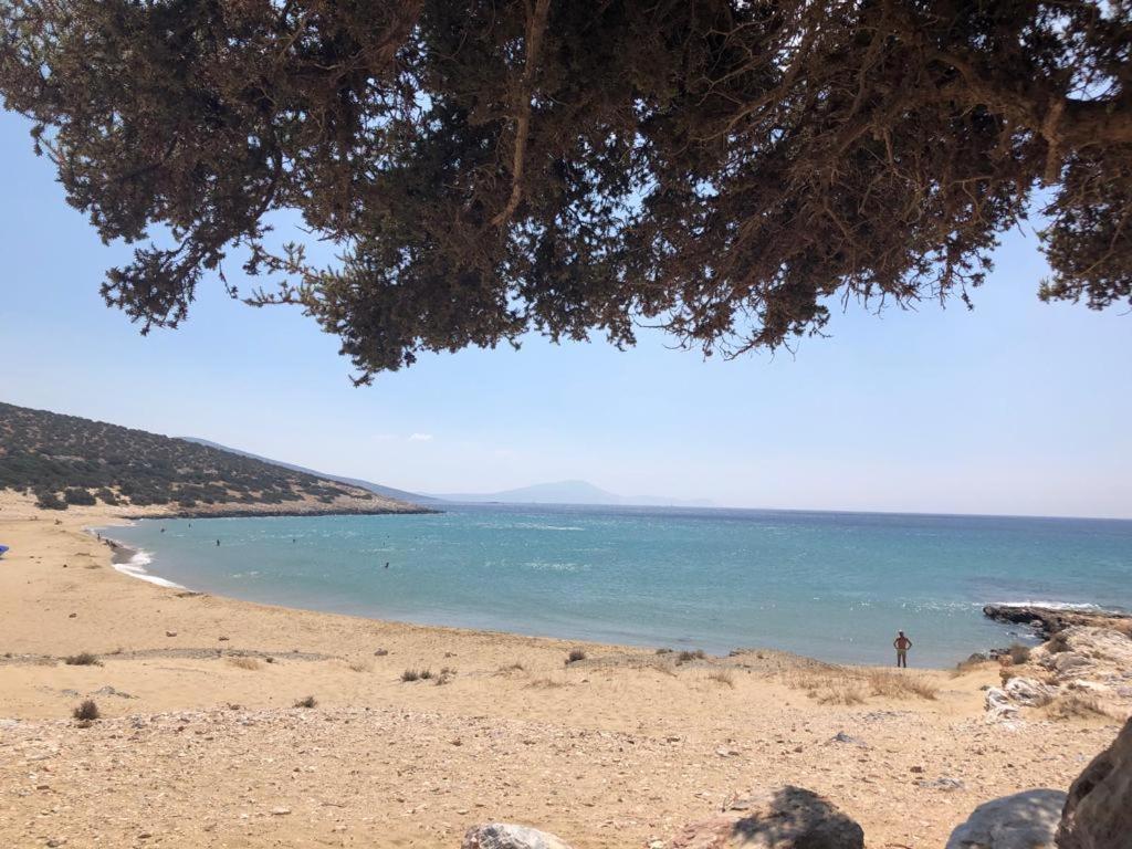 Apartmán Haus Asterakia Aliko Beach Exteriér fotografie